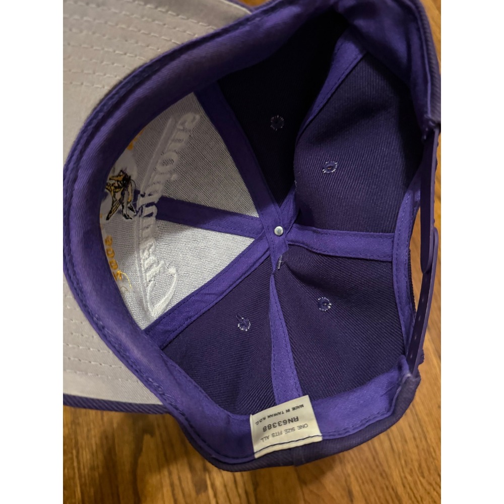 Vintage Minnesota Vikings 2000 NFC Central Champions Snapback Hat Purple NFL Cap - Picture 4 of 4